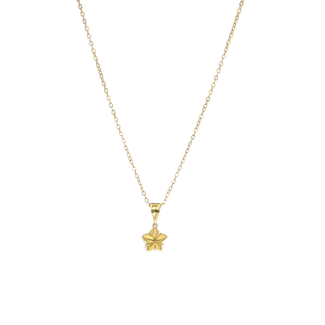Gold Star Charm Necklace 21KT - FKJNKL21KM11304
